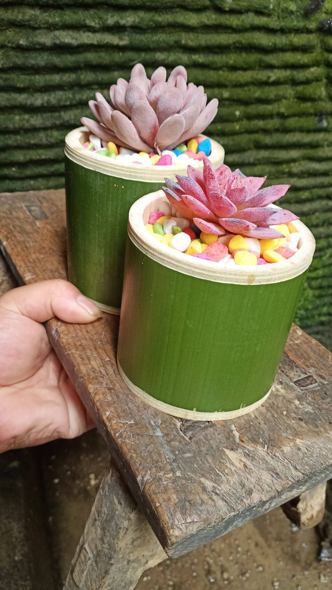 塑料陶瓷竹筒花盆特大号手工创意个性阳台咖啡花店花盆