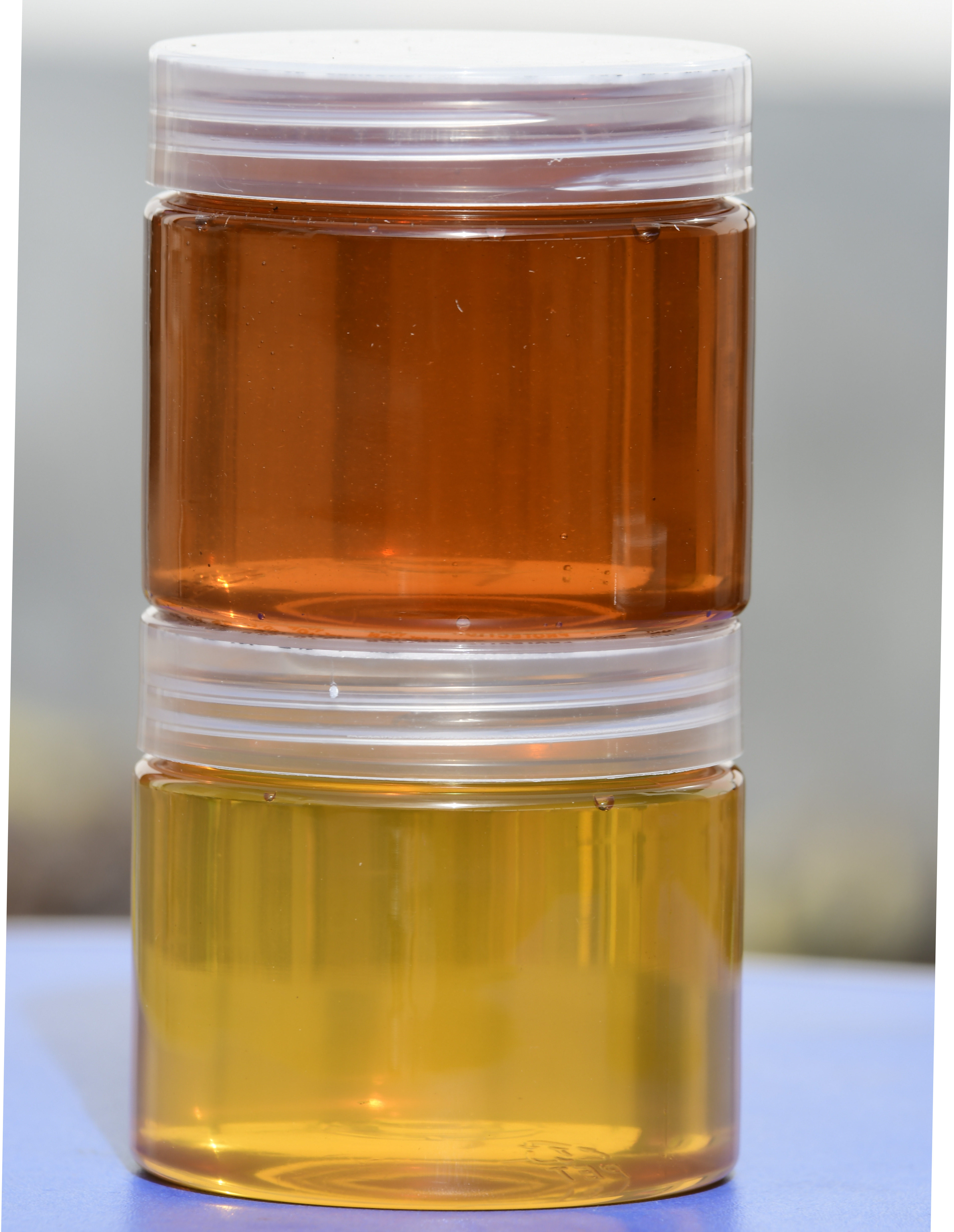 觅蜜郎蜂蜜新客尝鲜装五味子蜂蜜多花成熟蜜600克