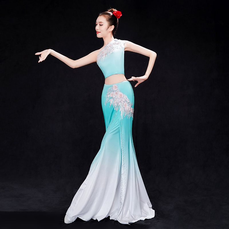 傣族舞蹈服服装演出服女艺考民族风云南孔雀舞西双版纳裙子鱼尾裙