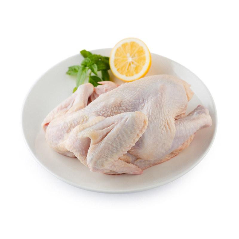 裴顿童子鸡1kg 整鸡 新鲜冷冻鸡肉 禽肉鸡肉