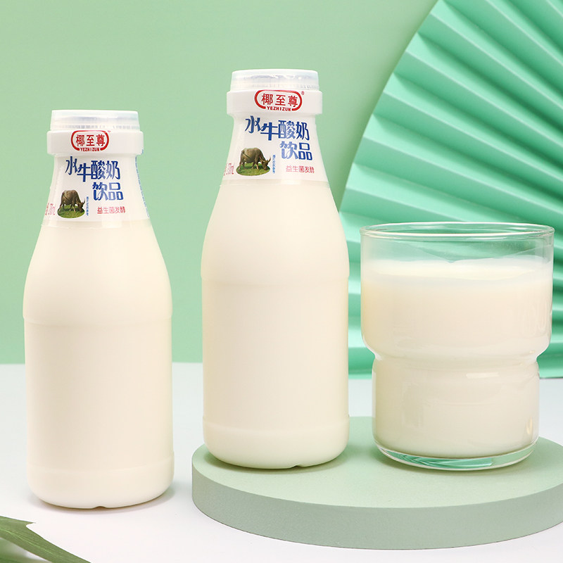 酸奶水牛牦牛饮品12瓶女士学生儿童牛奶益生含乳饮料