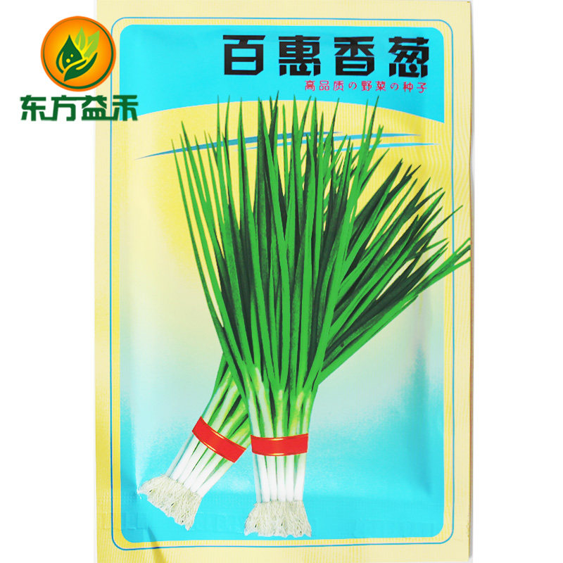 千禧小香葱分葱种子 四季小葱秋季蔬菜阳台盆栽高产葱 生长快易种