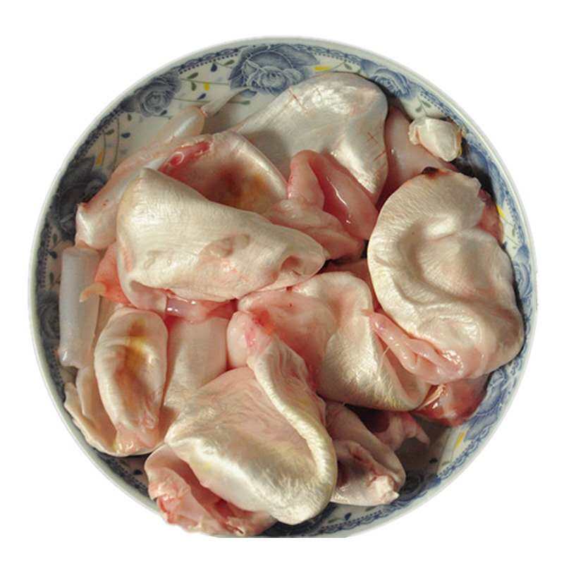 千岛湖新鲜胖头鱼泡鲢鱼泡鱼鱼肚鱼杂活鱼现杀淡水鱼类