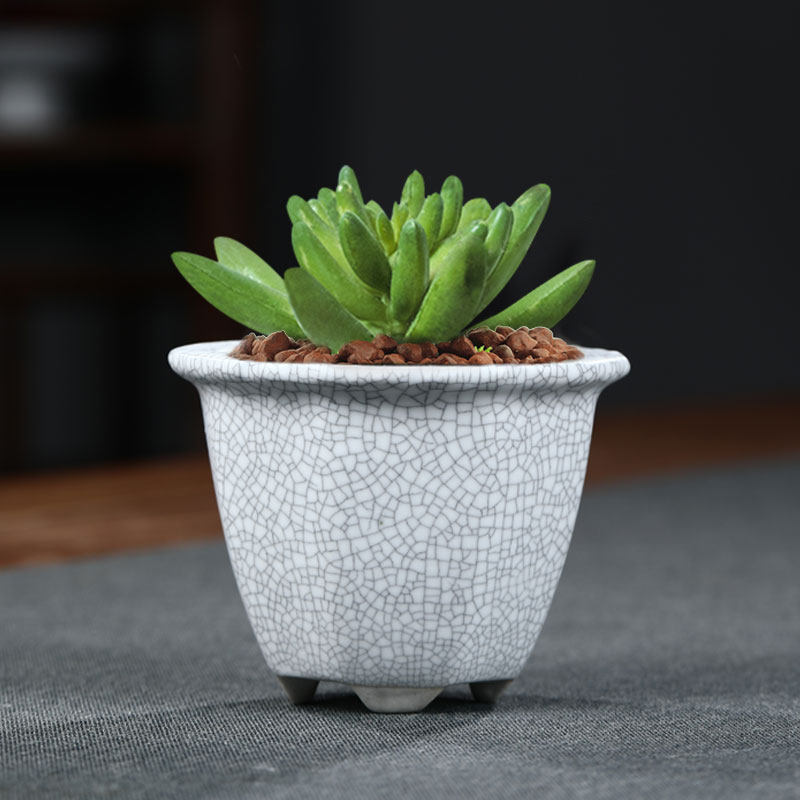 28元包邮白瓷冰裂微型花盆摆件盆景多肉盆栽花盆