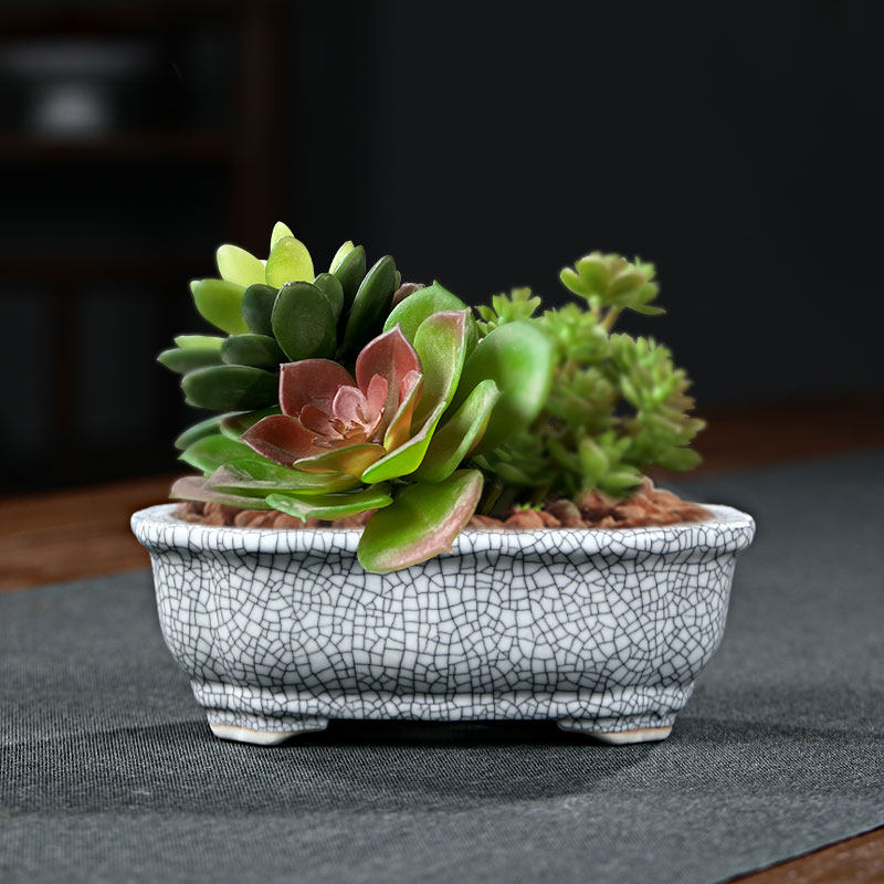 28元包邮白瓷冰裂微型花盆摆件盆景多肉盆栽花盆
