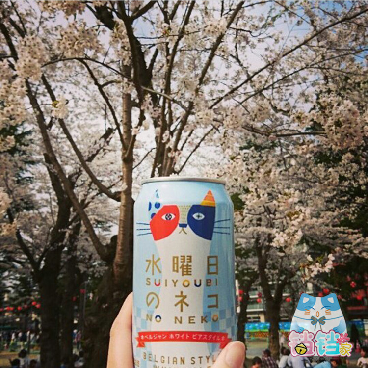 在途5月日本宅饮yoho水曜日星期星期三三猫啤酒碳酸饮料