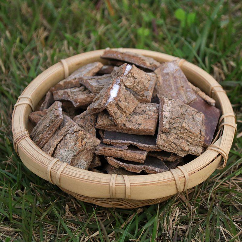 杜仲箐山中药材四川老树男性泡茶泡酒500克可炒杜仲