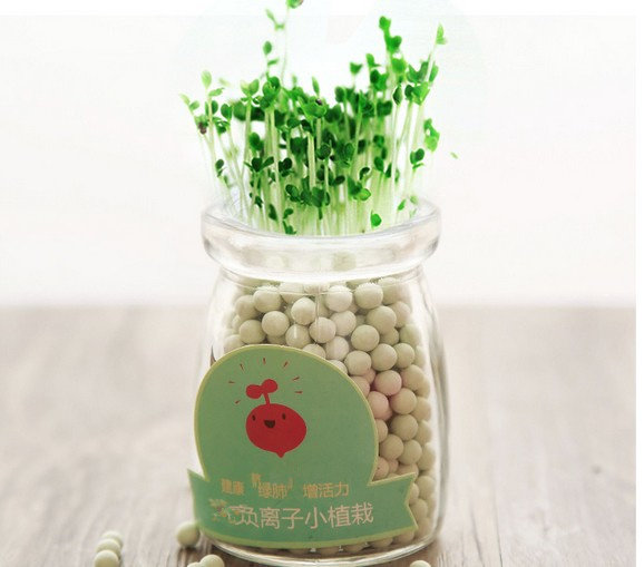 盆栽陶碳负离子心形情思草创创意迷你小盆办公室创意迷你植物