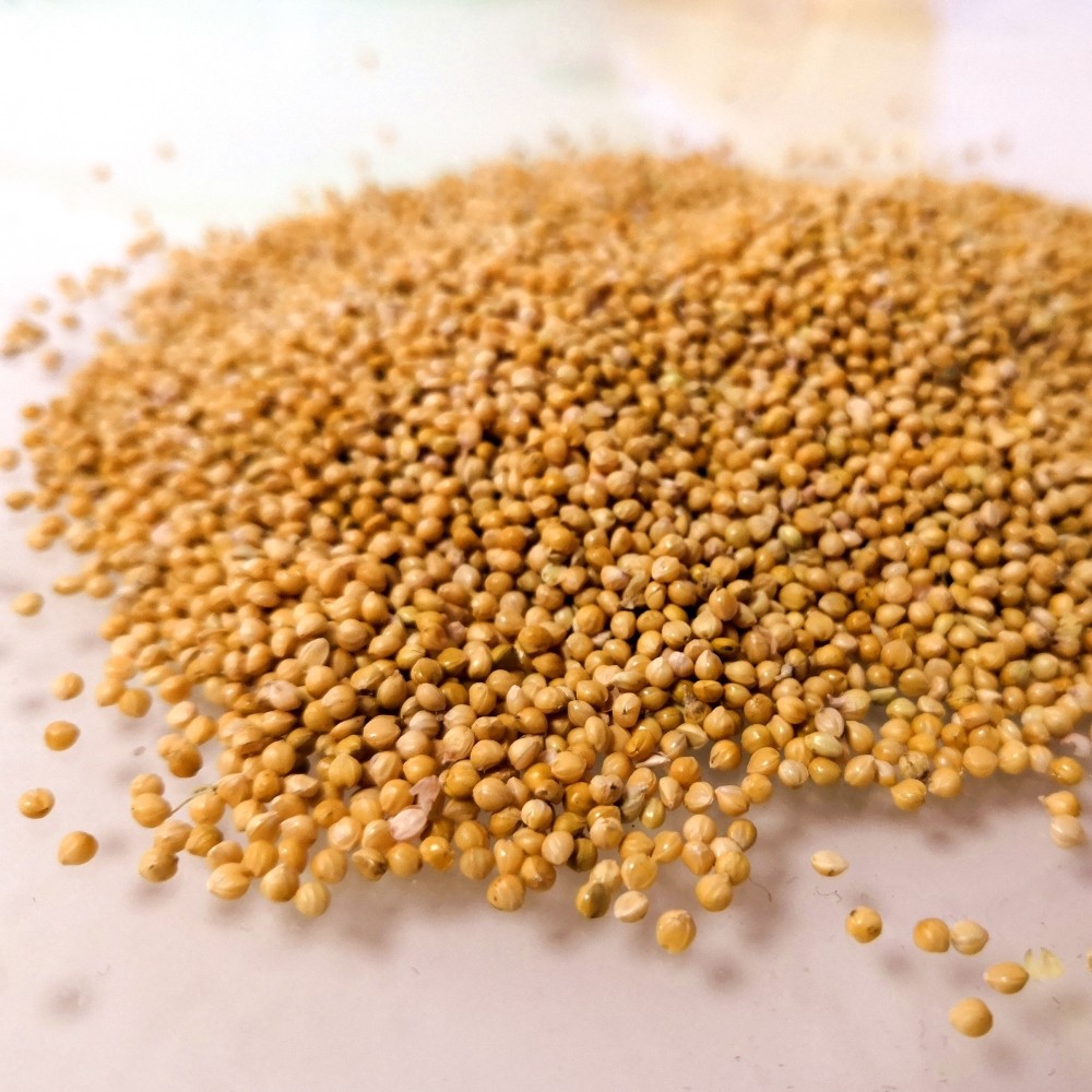 新黄谷子带壳小米虎皮牡丹玄凤小型鹦鹉粮鸟鸟食