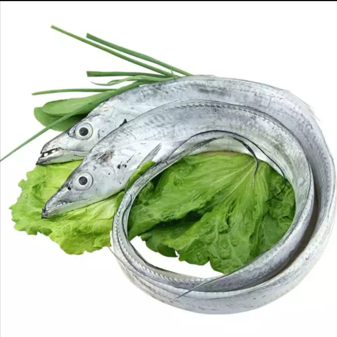 带鱼整箱10斤舟山东海小眼睛新鲜冷冻整条海鱼带鱼