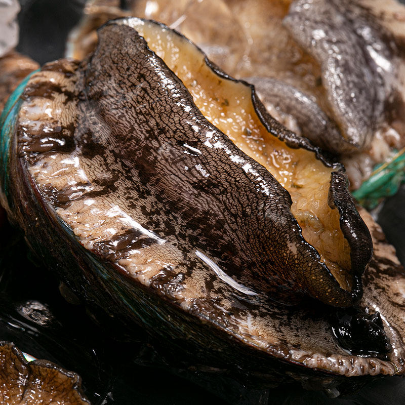 鲍鱼北京一两十头这款海鲜鲜活深直发闪送一个鲍鱼