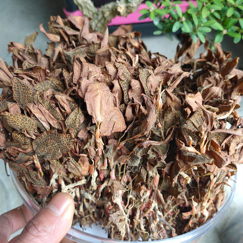 金线莲干品茶福建林下种植50克南靖土楼特产其他药食同源食品