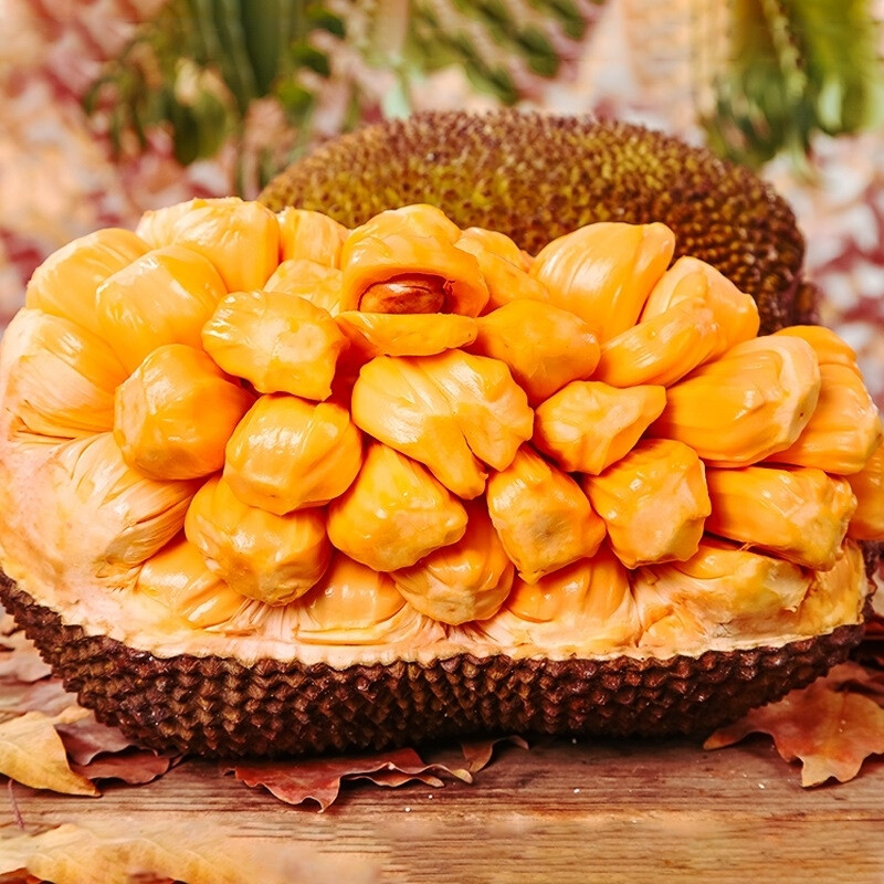 红肉菠萝蜜新鲜水果整个当季孕妇整箱箱包进口菠萝蜜