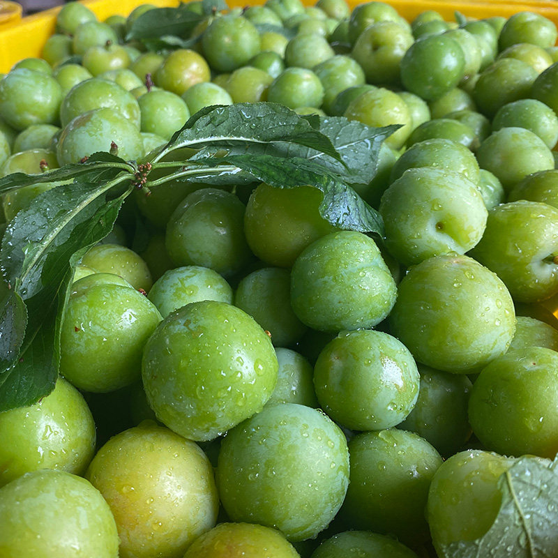 水果李整箱脆皮酸李三月李三月顺丰孕妇2022当季李子