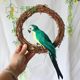 Caroline simulation feather parrot gardening with rattan ring paw wire binding home pastoral decoration macaw Caroline simulation feather parrot gardening with rattan ring paw wire binding home pastoral decoration macaw