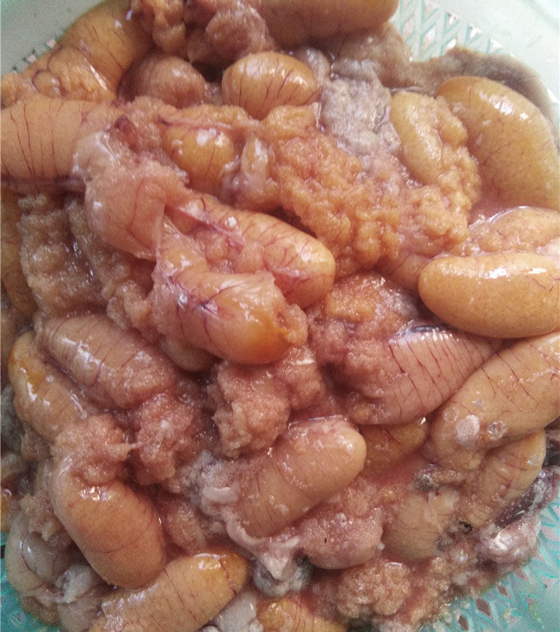 新鲜鱼籽 鲈鱼籽 桂鱼籽 鱼卵 鱼蛋 纯鱼籽 现杀现发2份包邮顺丰_双氙