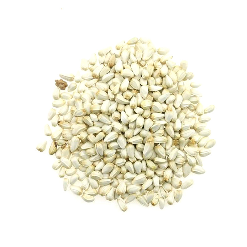 红花种子中草药材藏红花种子新疆产草红花籽正品纯新大田种植种子