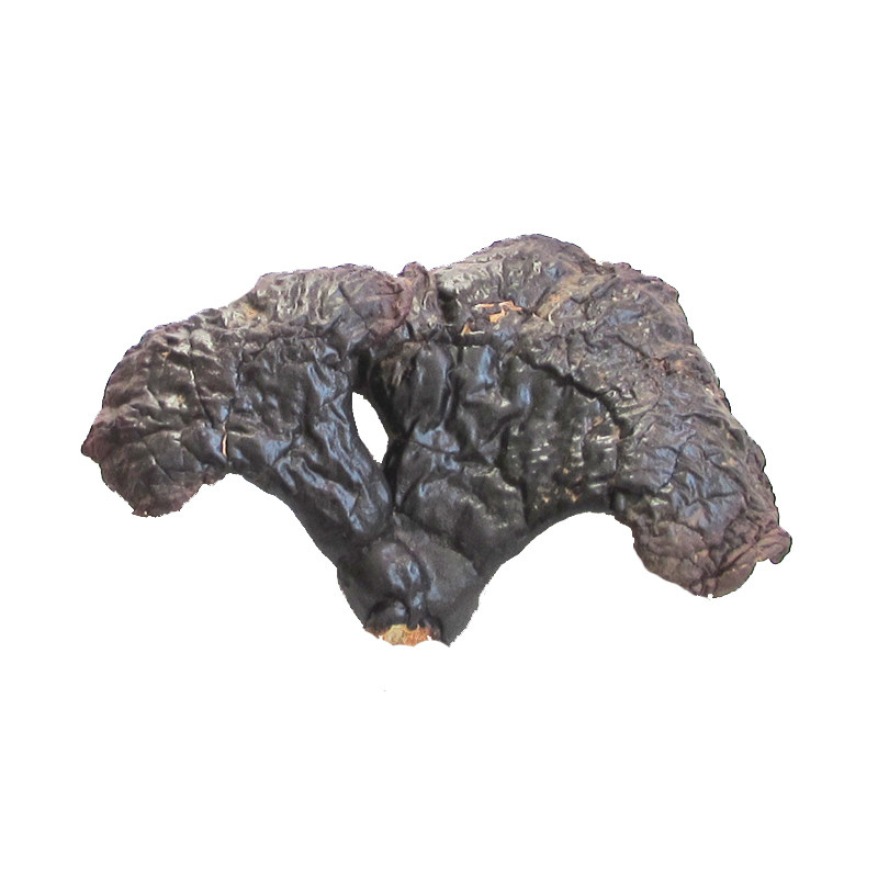 250克 野生灵芝 赤芝 白心灵之 整枝 松杉灵芝 长白山灵芝 - 痕风的