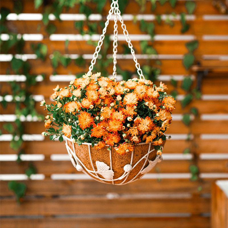 铁艺椰棕吊篮花盆两件件套悬挂式花架多肉绿萝花盆