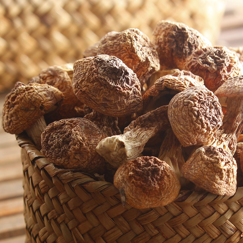 姬松200克炖汤炒菜香浓食材鸡腿菇姬松菇松蘑姬松茸