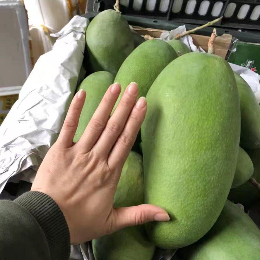 越南酸脆大青芒配椒盐当季整箱10斤芒果