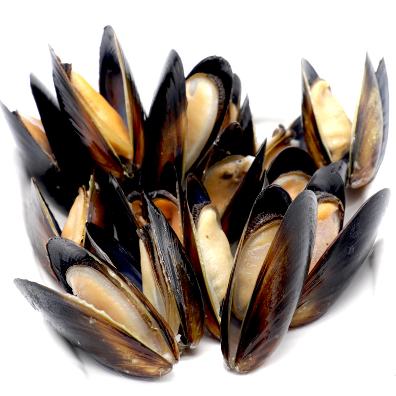 智利1kg口贝海虹新鲜蓝口进口速冻全壳贝类蓝口贝