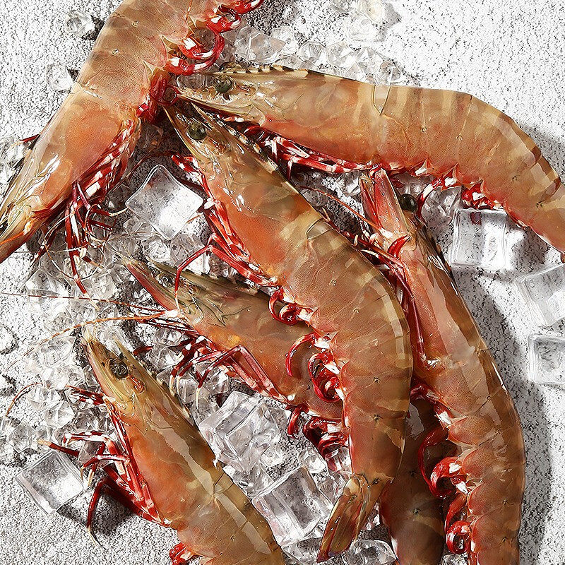 顺丰包邮超大红虎虾黑虎虾鲜活野生海虾冷冻冻虾