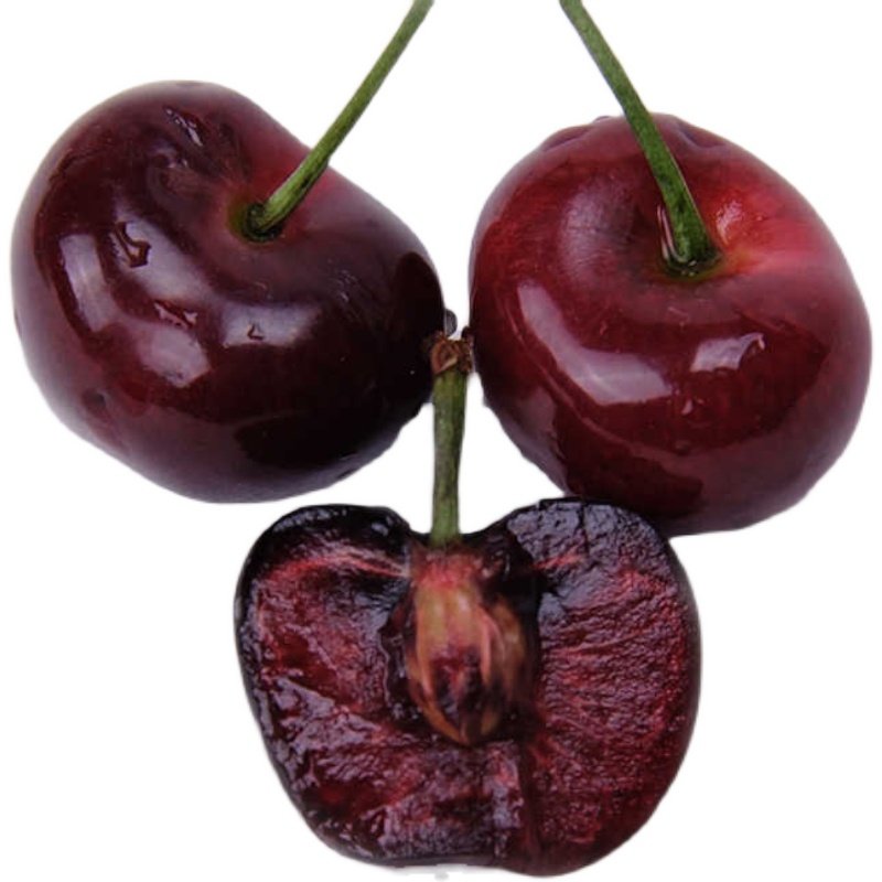 美早梅枣脆甜大樱桃特大果车厘子大连3斤新鲜现摘现发顺丰包邮