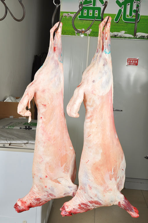 新鲜18斤羊羔肉宁夏盐池滩羊现杀羊肉羊排清真生鲜羊肉新鲜烧烤