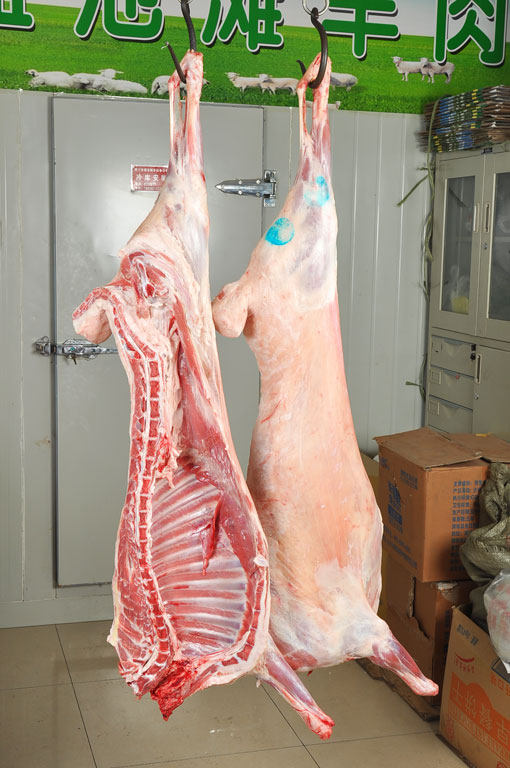 新鲜18斤羊羔肉宁夏盐池滩羊现杀羊肉羊排清真生鲜羊肉新鲜烧烤