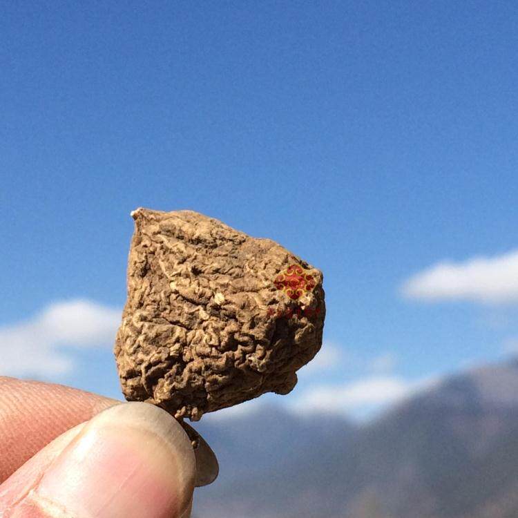 西藏三七原产纯正林芝正宗250包全国三七