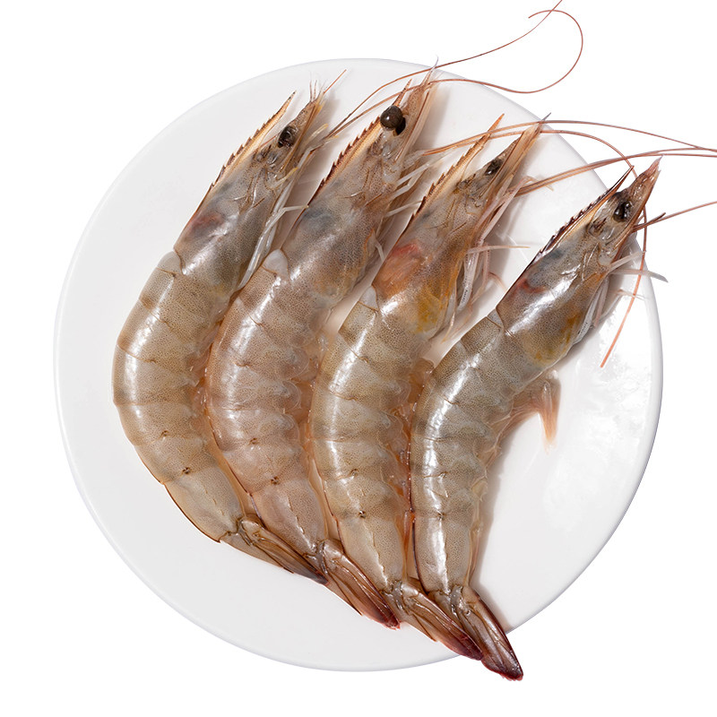 鲜活单冻新鲜海速冻海洋南美美白对虾网红4050冻虾