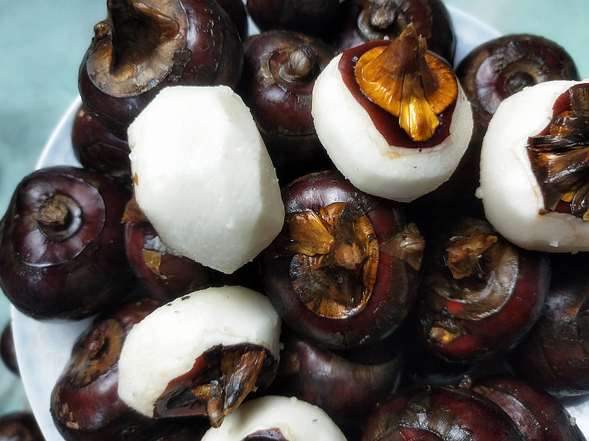 荔浦新鲜马蹄5斤9斤包邮特优果农家特产水果脆甜特级超大马蹄荸荠