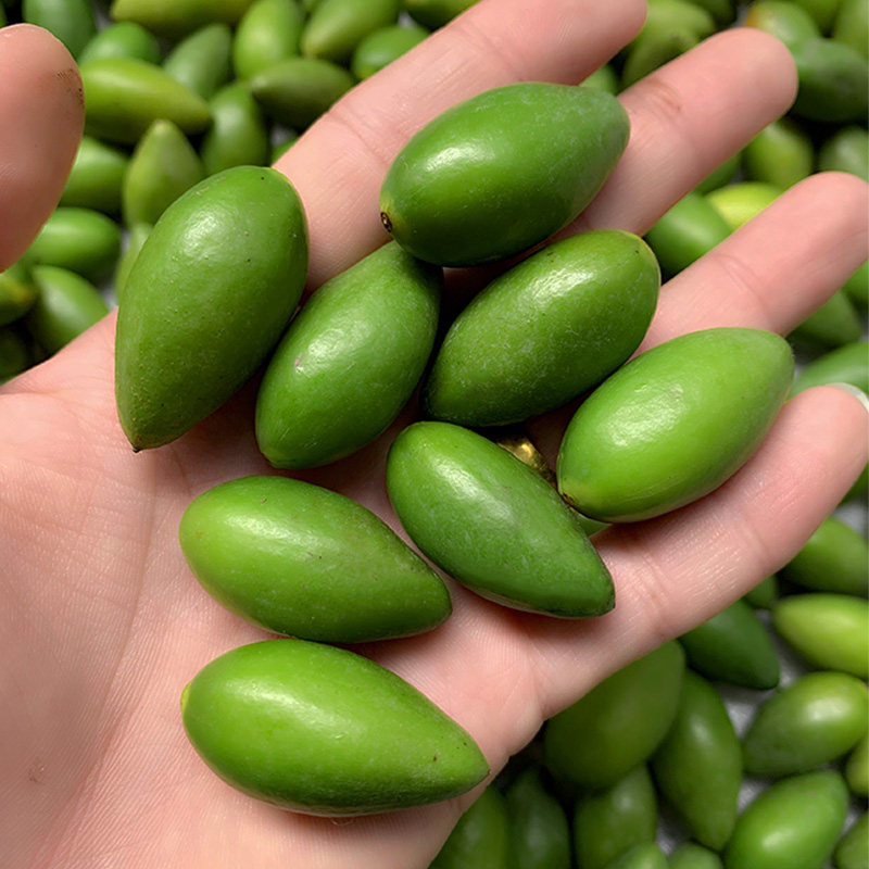 橄榄潮汕现摘新鲜二号甜种青果生吃酥脆檀香其它