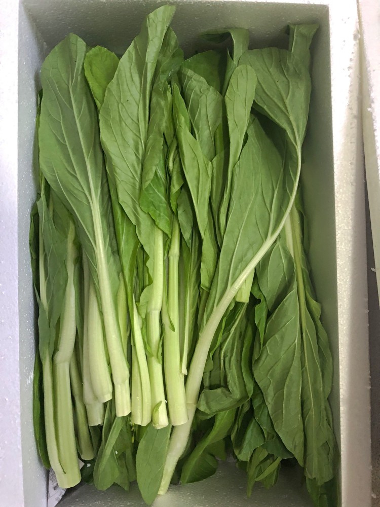 顺丰包邮白菜苔新鲜湖南菜苔甜菜苔青菜新鲜蔬菜农家自种青菜