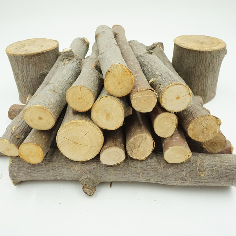 苹果果木树枝仓鼠松鼠龙猫磨牙玩具木棒木头玩具