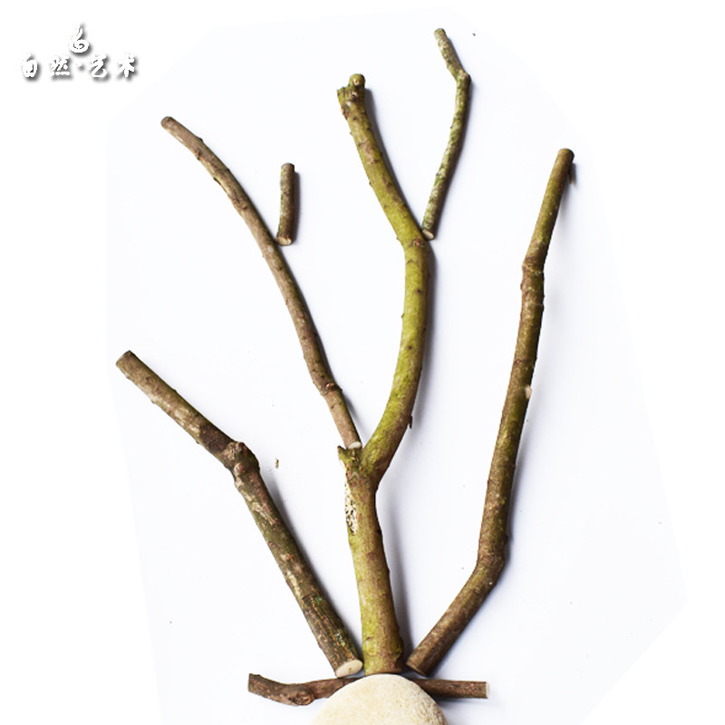 树杆粗木棒弯曲带皮树枝文艺装饰田园风创意自然复古天然木棍材料