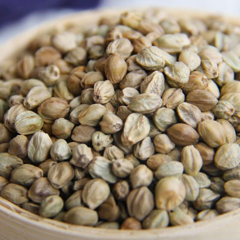 2019新麻子包邮大粒甘肃天水特产大颗粒熟麻子生麻子人吃食用麻籽