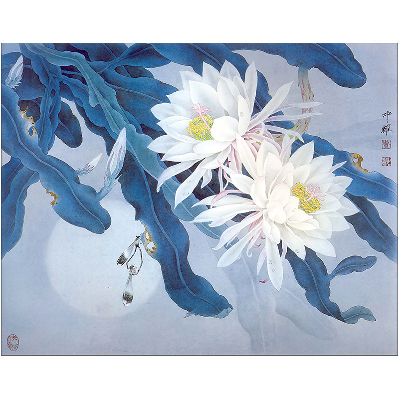 xp28工笔画昙花白描底稿国画花鸟素材临摹练习国画