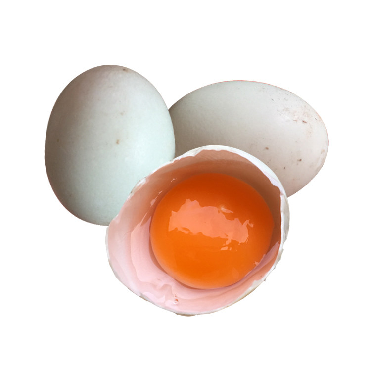 红心海鸭蛋新鲜生海鸭蛋30枚广东电白海滩散养青壳蛋非咸鸭蛋包邮