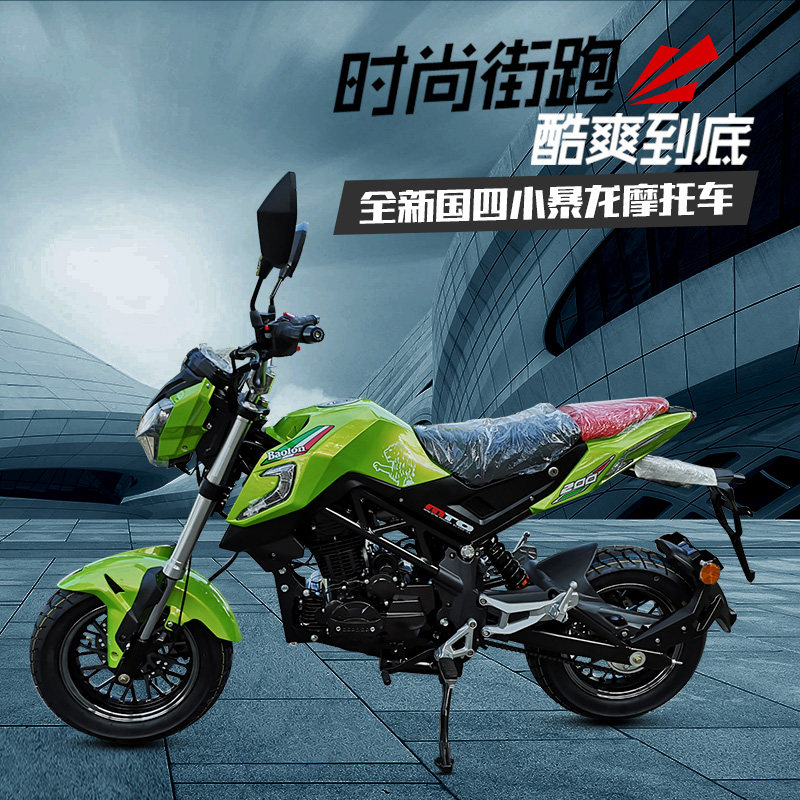 宝雕国四小暴龙200cc小怪兽猴子m3大公仔迷你特技街车托车可上牌