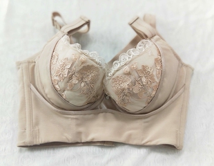 安提尼亚娅臻爱巴黎短文胸罩小胸聚拢黑色调整型内衣胸部还原仪-领券