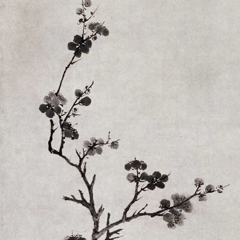 唐寅唐伯虎墨梅图挂轴复古字画作品水墨花卉竖幅国画