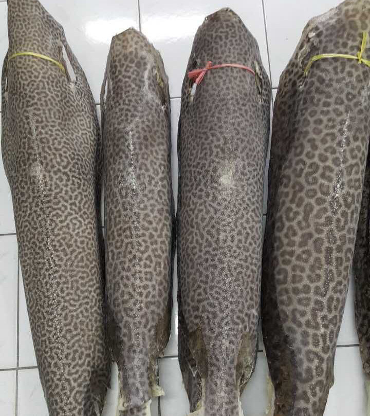 皮料虎纹本色珍珠魔鬼鱼皮diy手工刀剑剑鞘海绵垫