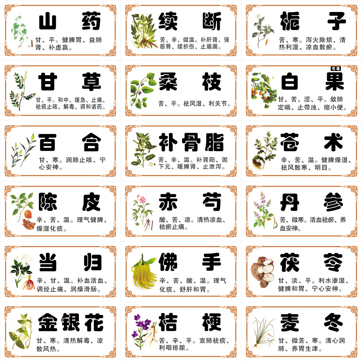 新版规范正名中药标签贴 978/660味中药贴纸不干胶中药柜标签斗谱