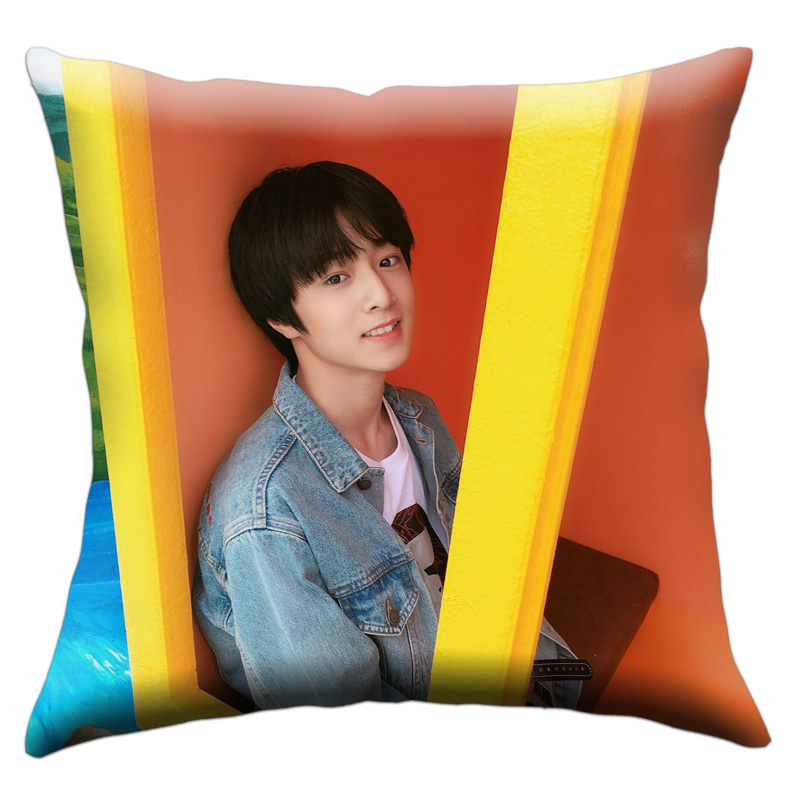 抱枕台风少年床上刘耀文周边靠垫沙发办公午睡靠垫