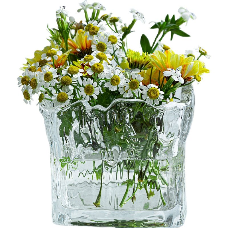 网红花瓶玻璃瓶透明明水轻奢高端ins鲜花摆件花瓶