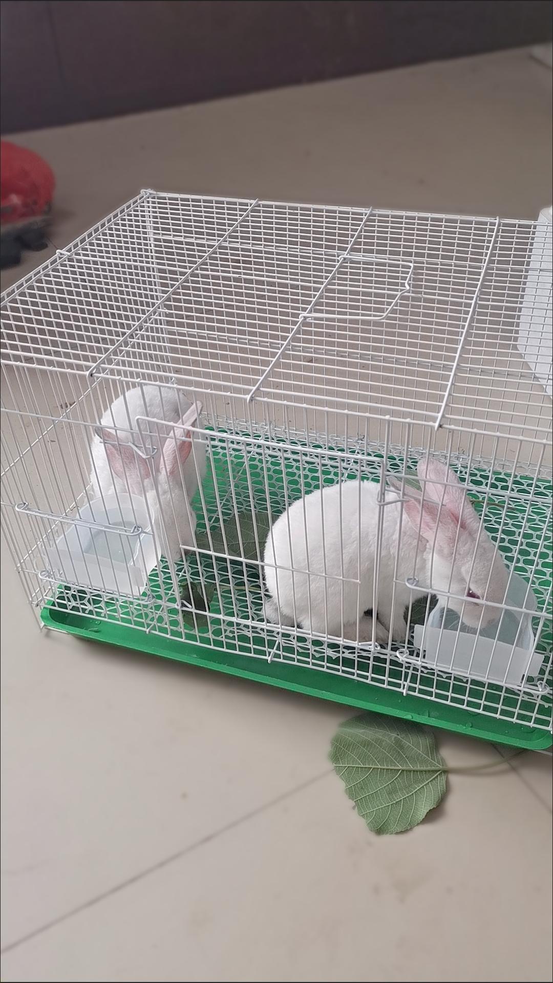 笼子兔子家用特大号别墅加密密兔兔窝仓鼠荷兰笼子