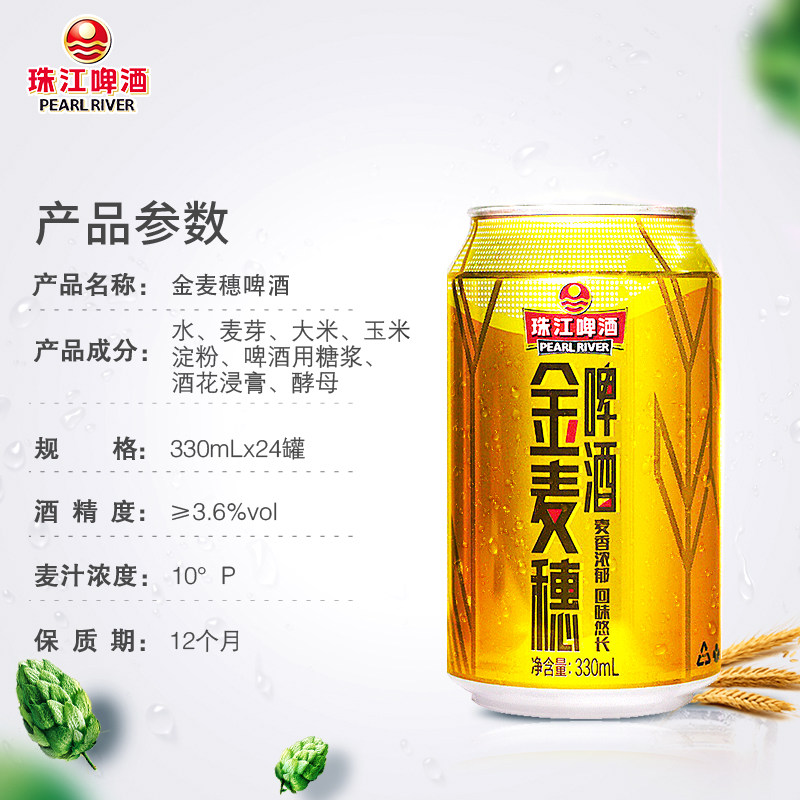 珠江啤酒金麦穗24罐330ml