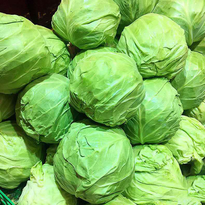新鲜包菜5斤绿甘蓝卷心菜圆白菜洋白菜包心菜青甘蓝白沙拉蔬菜